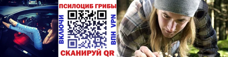 закладки  Котлас  Псилоцибиновые грибы мицелий 