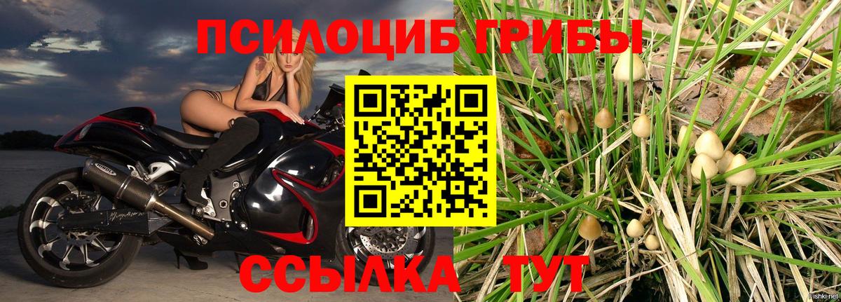 Псилоцибиновые грибы Magic Shrooms Котлас