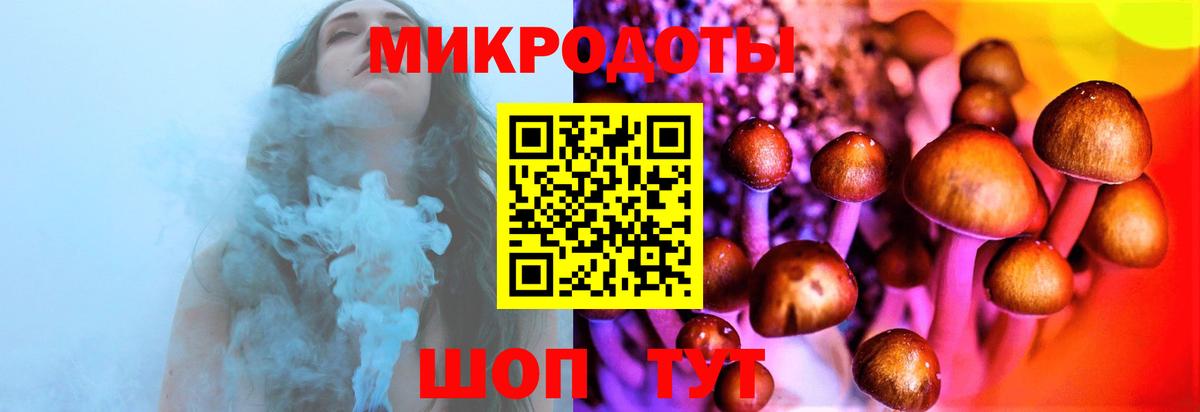 Галлюциногенные грибы Cubensis  Вход с VPN  Галлюциногенные грибы мухоморы  Котлас 